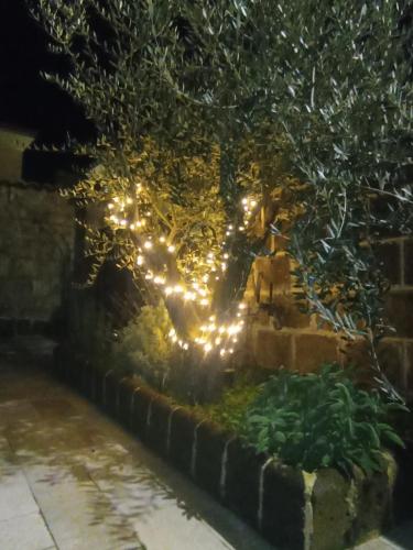 Κήπος έξω από το Il Ponticello