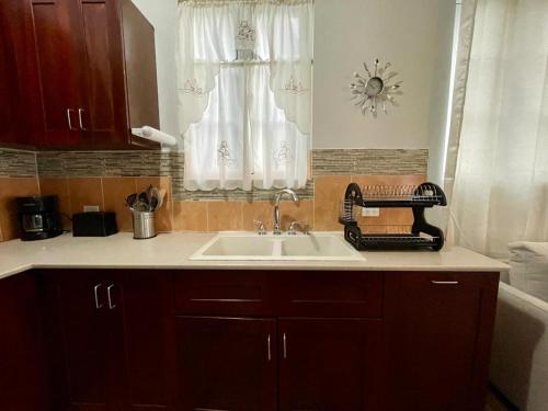 un bancone della cucina con lavandino e finestra di Abigail's Esmeralda 2 bedrom Apt a Tortola Island