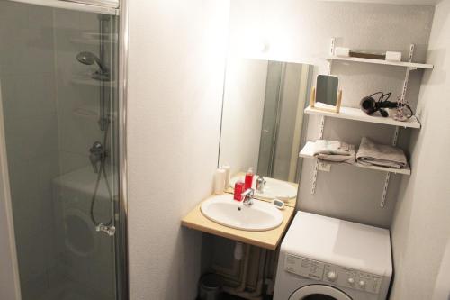 a small bathroom with a sink and a shower at Grande chambre et salle de bain privée et balcon in Strasbourg