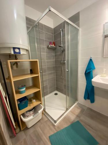 Koupelna v ubytování Apartmán Plovárna