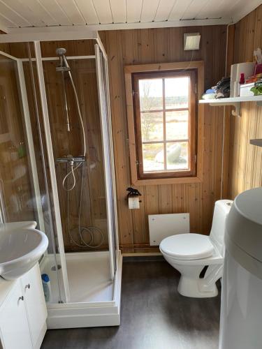 Ένα μπάνιο στο Golsfjellet