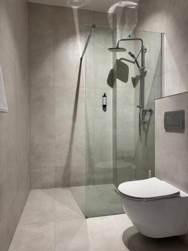 a bathroom with a glass shower with a toilet at Pokoje Dębowa Góra in Kłobuck