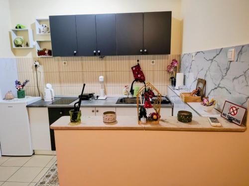 Kuchyň nebo kuchyňský kout v ubytování SkyBreak Apartment