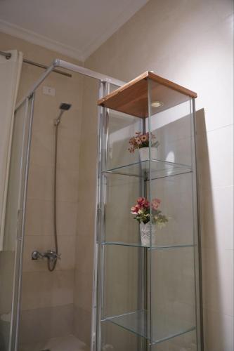 a shower with two potted flowers on a glass shelf at Garden Home in Sheikh Zayed
