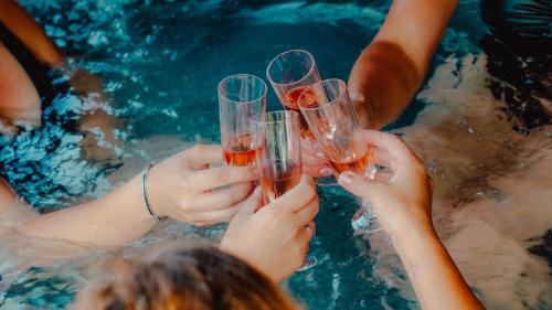 a group of people holding wine glasses in a pool at Schlaffass und Tiny House am See, Spa mit Sauna und Hot Tub, angeln, Boot, Natur in Twist