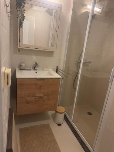 ein Badezimmer mit Waschbecken und Dusche in der Unterkunft Boshuisje Rekem Charly in Lanaken