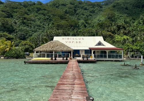 Příroda nedaleko hotelu