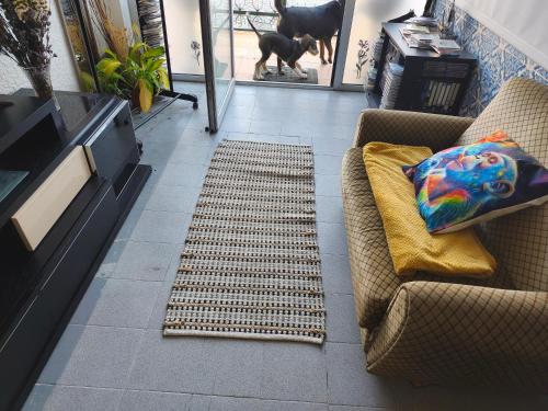 a living room with a couch and a dog looking out the door at Orion Casais in Casais
