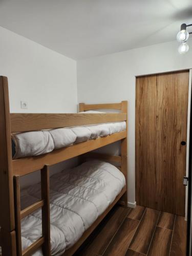 Appartement 4 personnes ski aux pieds parking couvert