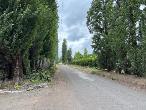 Acogedora, cómoda, muy funcional y muy optimizada في لوس أنجلوس: طريق فاضي اشجار جنبه