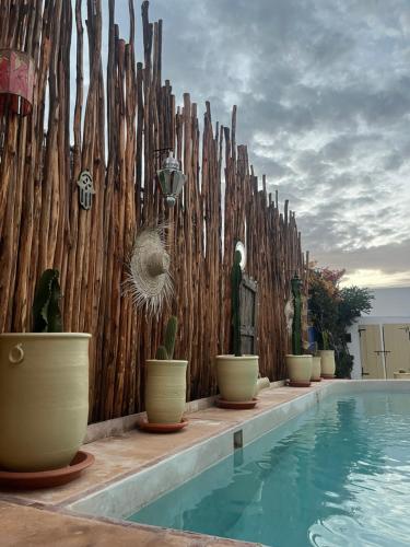 einen Zaun mit Topfpflanzen neben einem Pool in der Unterkunft Villa Aloe Vera Privée in Essaouira