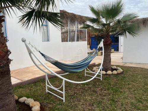 eine Hängematte in einem Garten neben einer Palme in der Unterkunft Villa Aloe Vera Privée in Essaouira