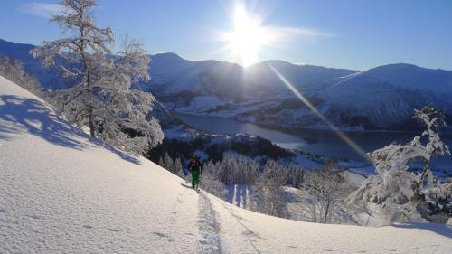Naturlandskabet i nærheden af feriehuset