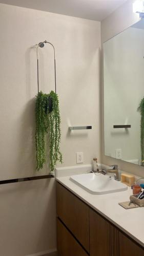 a bathroom with a sink and a mirror at Casa Cielo V-Bucerias in Bucerías