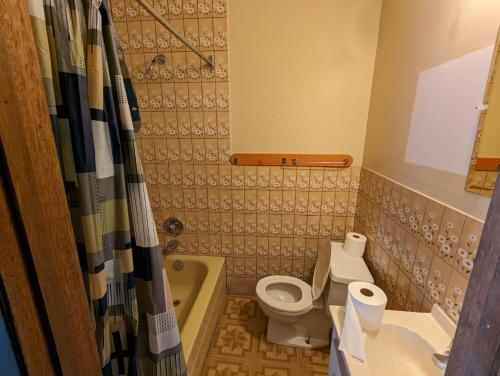 a bathroom with a toilet and a sink and a tub at Tiny Wood Cottage 08 in Wasaga Beach