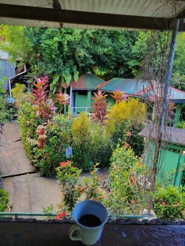 Tia's Bamboo Cottages Restaurant, Bar & Sulphur Spa