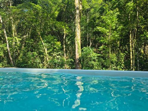 una piscina di acqua blu con alberi sullo sfondo di Chalé Foroni a Cunha