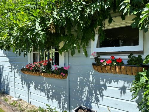 Fotografie z fotogalerie ubytování The Brambles v destinaci Greytown