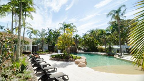 a resort pool with lounge chairs and palm trees at Koala Shores Holiday Park in Lemon Tree Passage