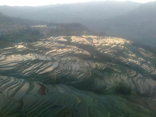 an aerial view of a rice field from an airplane at 多依湾客栈Havre de paix DuoYiWan in Yuanyang