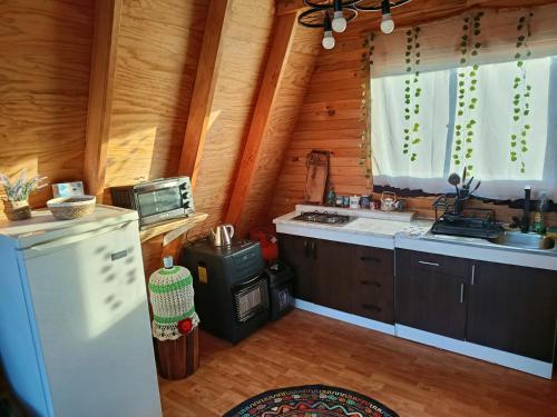 CABAÑA RAIZ INDOMITA PINTO Ñuble : مطبخ مع ثلاجة وموقد