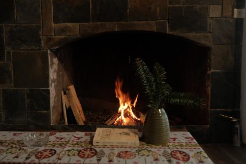 Fotografie z fotogalerie ubytování Bách Xanh House. Nhà ống khói v destinaci Vĩnh Phúc