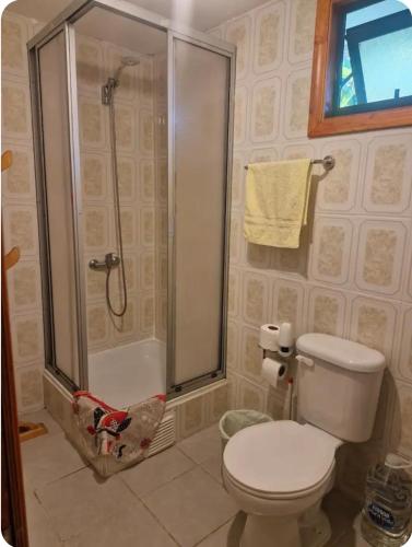 a bathroom with a shower and a toilet in it at Hostal La nona in Llanquihue