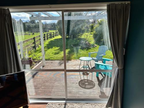 a screened in porch with a view of a yard at Dark Sky Cottage in Greytown