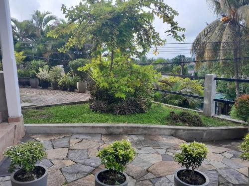 Zahrada ubytování Kandiana 6A