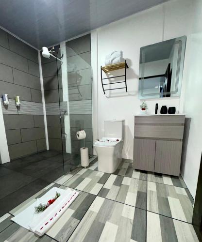 a bathroom with a shower and a toilet and a sink at Casa de las aves in Guayabal