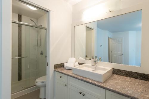 ein Badezimmer mit Waschbecken, Toilette und Spiegel in der Unterkunft The Langley Courtyard Home 2BR, 2BA for 6 Guests in Langley