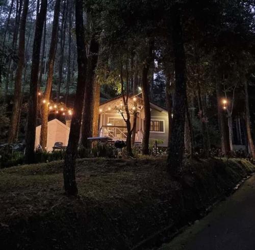 Fotografie z fotogalerie ubytování The Pine Forest Villas v destinaci Pondok Cipaseban