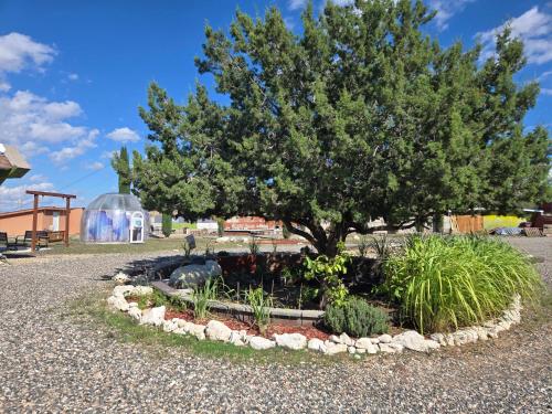 a tree in a garden in front of a greenhouse at Stargazing Retreats Homestay in Camp Verde