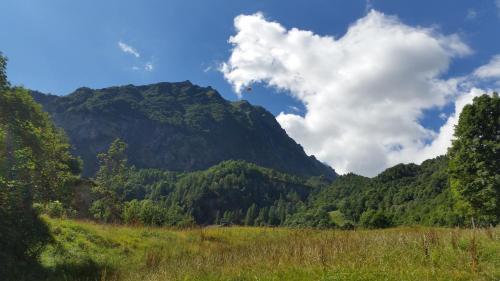 a grassy field in front of a mountain at Agriturismo Alagna in Alagna Valsesia