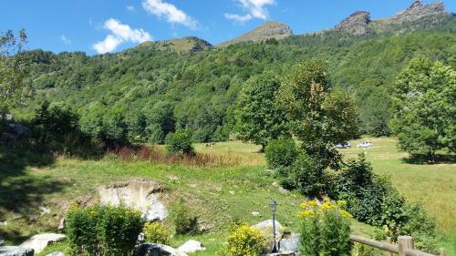 a field with trees and mountains in the background at Agriturismo Alagna in Alagna Valsesia