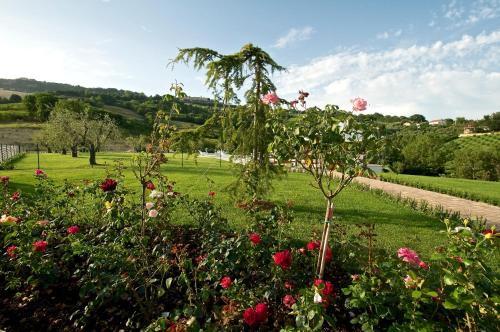 a garden with roses and a tree in a field at Moresco Agriturismo in Moresco