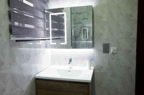 een badkamer met een wastafel en een spiegel bij Villa Alpaca in Accra