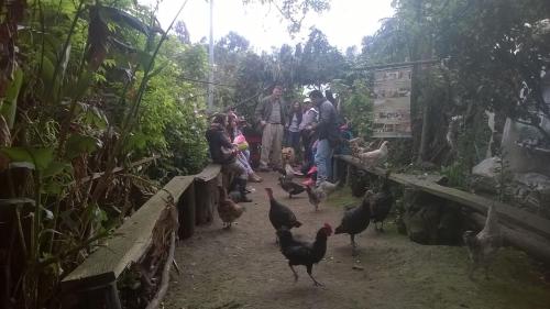 Ospiti di Córest Hotel B&B con animali domestici