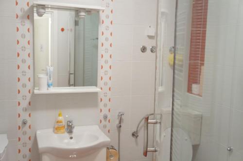 a bathroom with a shower and a sink and a toilet at Sarajevo Hills Apartment in Sarajevo