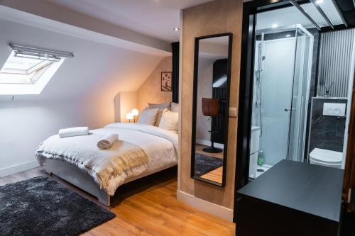 a bedroom with a bed and a mirror and a shower at Lovely 2 Rooms Next to Sint-Niklaas Very Central in Ghent