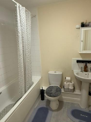 a bathroom with a toilet and a sink at Clarkson Court in Hatfield