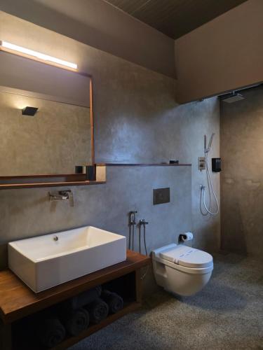 a bathroom with a sink and a toilet and a mirror at Elevate Ella Resort & Spa in Ella