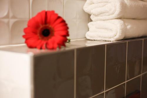 a red flower sitting on a bathroom counter with towels at Penzion Recall in Troskovice