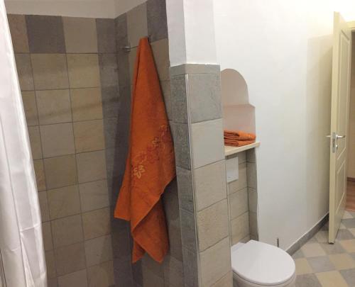 a bathroom with a toilet and a towel at Palazzo di Città in Saluzzo