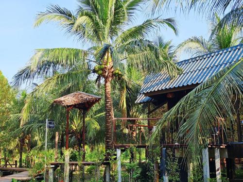 En have udenfor Cheewatra Farmstay Coconut House