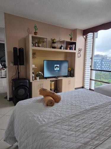 a bedroom with a large bed with a tv and a televisionictericter at Apartamento 1005 Cortijo in Guatemala