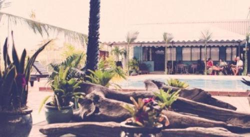 Hồ bơi trong/gần Insel Fehmarn Hotel