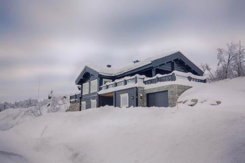 Luxury And Comfort With Stunning Views v zimě