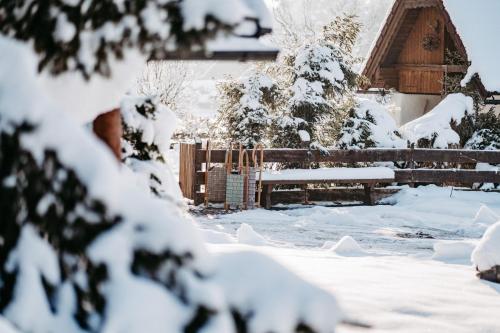 Gallery image of Chalet Happy Family, famous ski areas around us,15 min to salzburg, mountainview in Golling an der Salzach