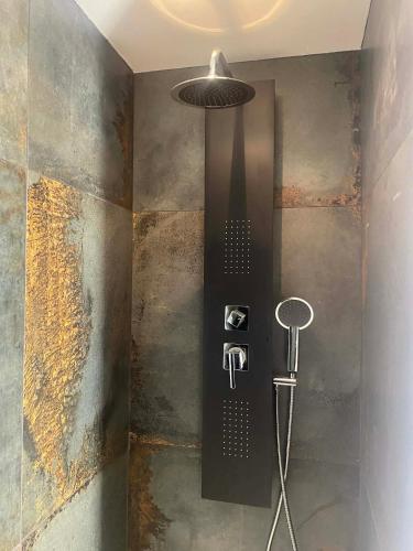 a bathroom with a shower with a shower head at T2 COCOON CLIM , FIBRE OPTIQUE, RDC Centre ville in Marmande